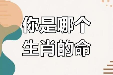 属什么生肖都好的人是什么命？解读幸福的生肖命运之道！