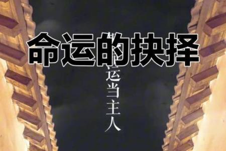 命硬感情观究竟是谁在掌控你的命运？