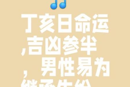 探秘2007年干支命理：解读“丁亥”之命的特质与人生轨迹