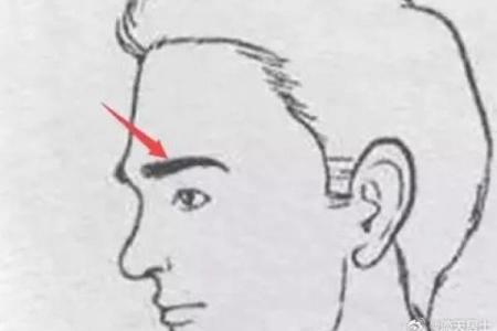 眉骨突出的命运解析：从面相看人生的可能性与挑战