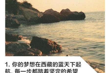 脑袋上有志：追寻梦想的航程与智慧