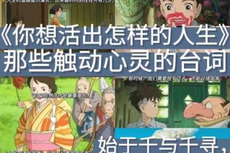命理的智慧：顺势而为，活出精彩人生！