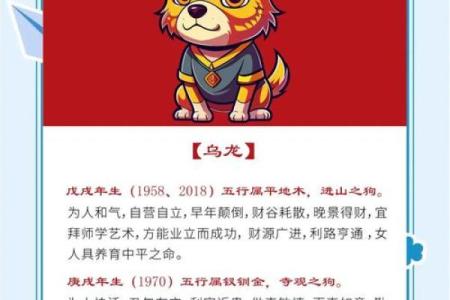 94年属狗的木命解析：命理与生活的完美结合