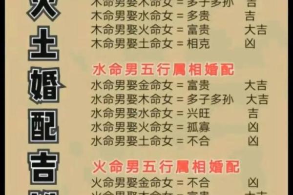 91年出生的羊：金命与土命的区别分析