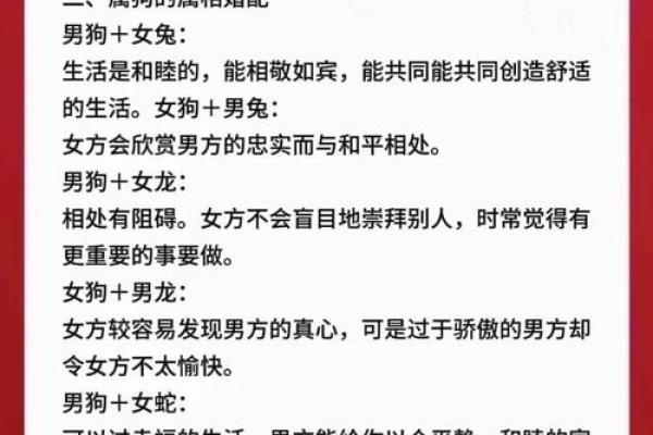 属狗木命人适合的职业选择与发展方向分析