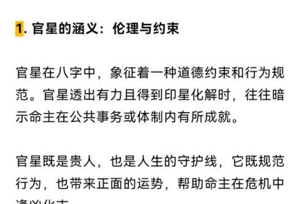 2016属鼠之命：揭秘你的命理玄机与人生发展之道