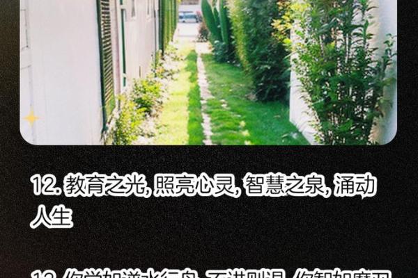 智商不高？看看这些命女的生活智慧与心灵成长