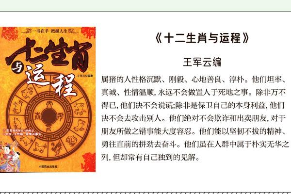 属猪男的老婆什么命：揭示最佳婚配与命理解析