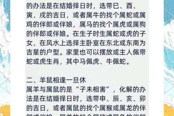 属猪男的老婆什么命：揭示最佳婚配与命理解析