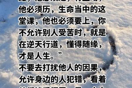 适合走路的命格：从命理看步履生风的人生之路
