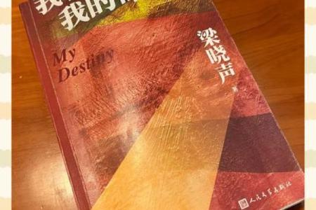 《命运的游戏：在《玩什么命呀》中寻找人生的意义》