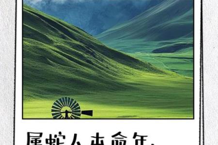 2011属蛇命运解析：智慧与机遇的象征