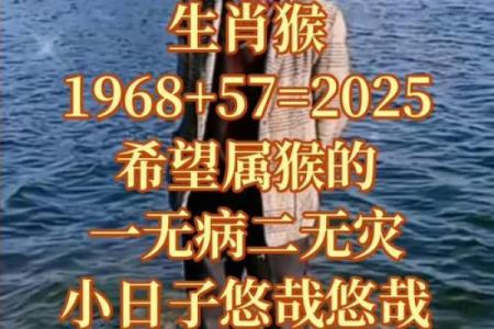 28虚岁属猴命运解析：智慧与机遇的完美交融