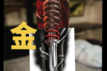 金命人士适合的纹身图案推荐，提升运势与吉祥气场！