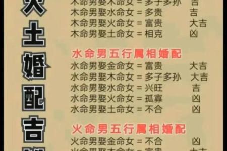 91年出生的羊：金命与土命的区别分析