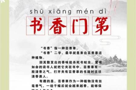 爱什么什么命：关于爱与命运的成语探寻