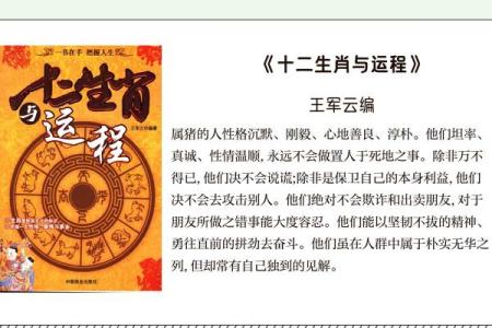 属猪男的老婆什么命：揭示最佳婚配与命理解析