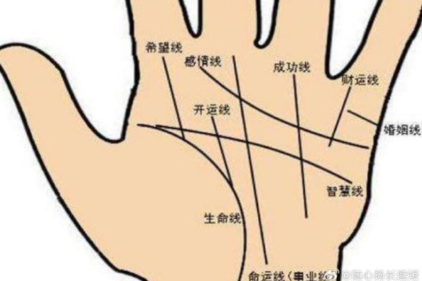 手掌长于手指的人：命运揭示与人生智慧