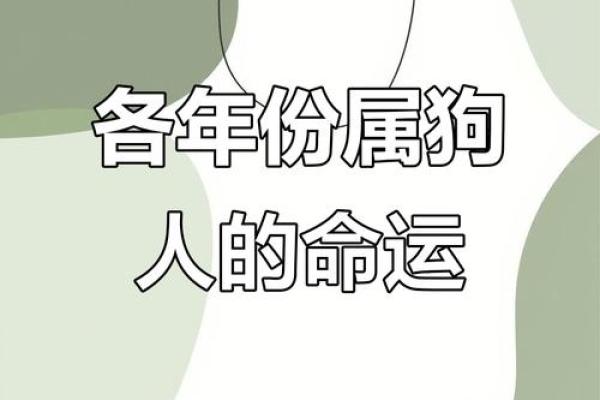 属狗男人的命运：忠诚与勇气交织出的精彩人生
