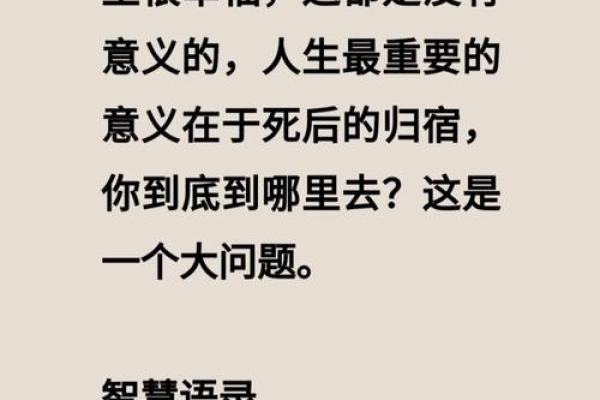 探寻生命的意义：为何有人似乎无法迈过16岁的人生关卡