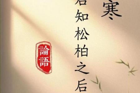 松柏木命忌什么颜色？探寻与颜色的和谐之道