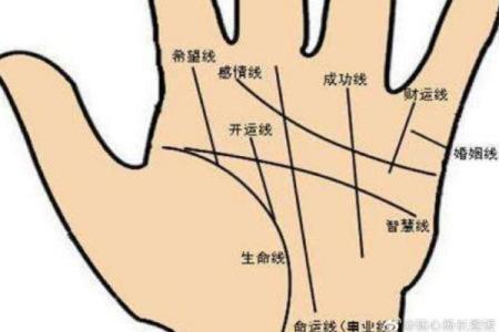 手掌长于手指的人：命运揭示与人生智慧