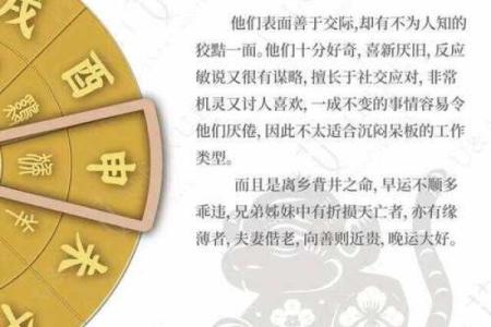 揭秘2011年亥时出生的命运与性格特征探究