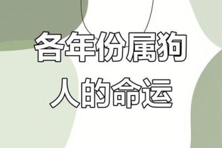 属狗男人的命运：忠诚与勇气交织出的精彩人生