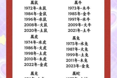 探秘2004年出生者的生肖与命运：揭开生命之谜的序幕