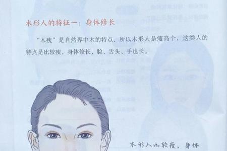探秘木命人：什么是木命人与他们的性格特点？