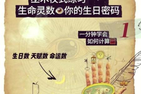 通过出生日揭秘命运密码，了解你的生命之旅！