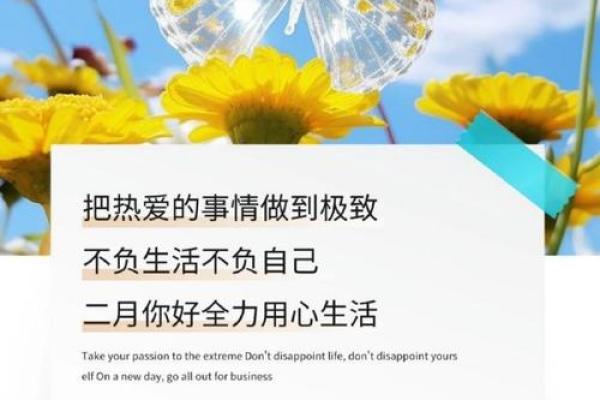 一月的命运与二月的希望：探寻新年新开始的秘密
