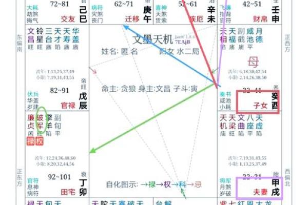 揭秘紫薇高级命格：人生的好运密码与奋斗之路