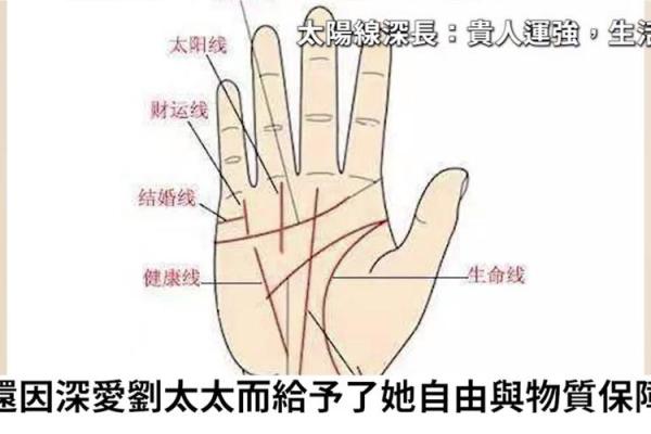 女人手纹命好：解密指纹背后的命运之谜