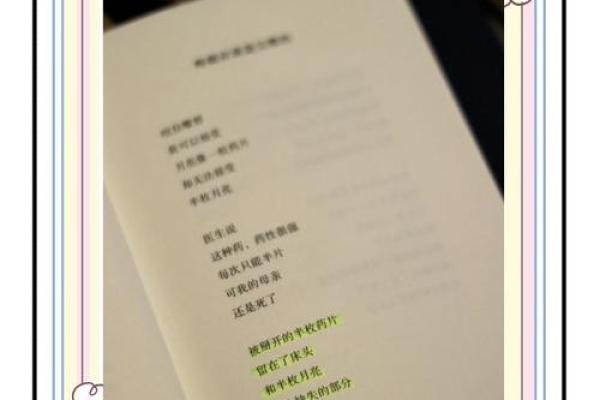 女人爱读书的命运：智慧与力量的交融之路