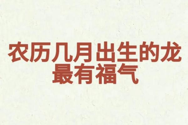 2024年属龙命运解析：探秘龙年带来的机遇与挑战