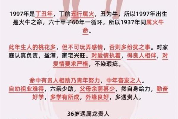 1955年属牛人的命运与性格分析，探寻人生的智慧与启示