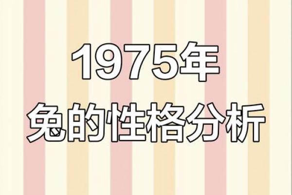 1963属兔人的命运解析：命格、性格与人生道路