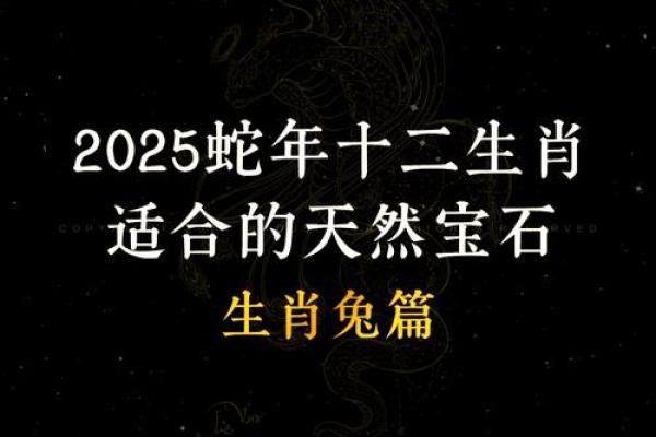 1963属兔人的命运解析：命格、性格与人生道路