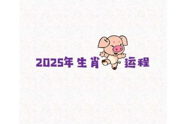 14岁属猪的命运揭秘：生命的转折与成长之路