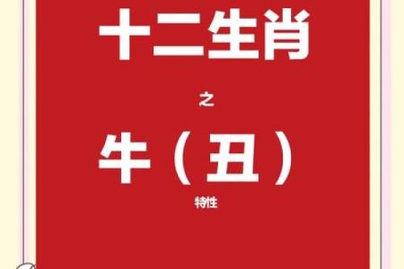揭秘属牛男人的命运与性格特征，深度解析！
