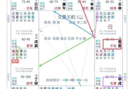 揭秘紫薇高级命格：人生的好运密码与奋斗之路