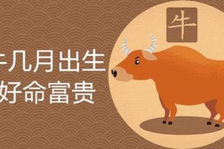 2021年属牛金命与命格缺失：深度解析与应对之策