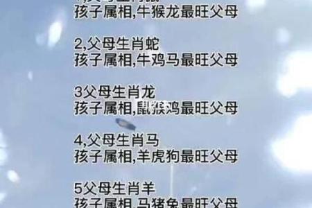 揭秘命运：生死由天数，生肖与人生的神秘联系