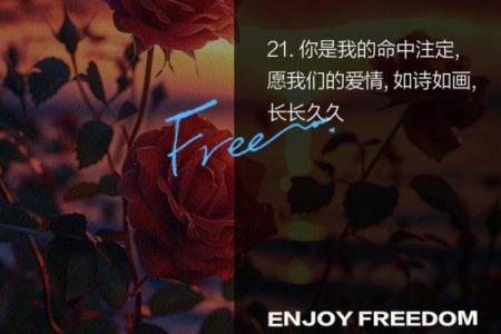 命中注定不结婚？探寻那些不能步入婚姻殿堂的人群