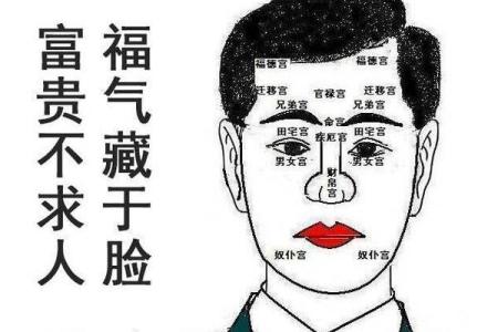 脸大圆中带方，揭示你的命运密码！