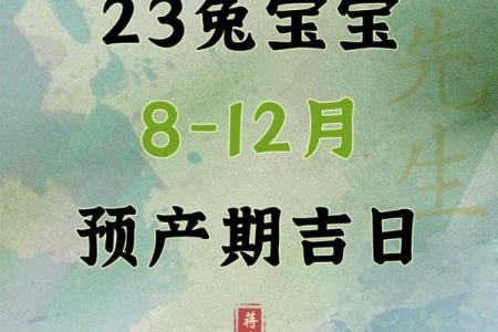 2023年属兔宝宝命理解析：黄历中最受欢迎的命运秘诀！