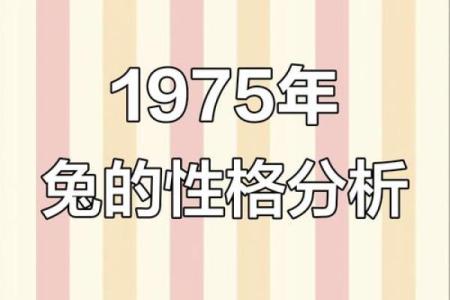 1963属兔人的命运解析：命格、性格与人生道路