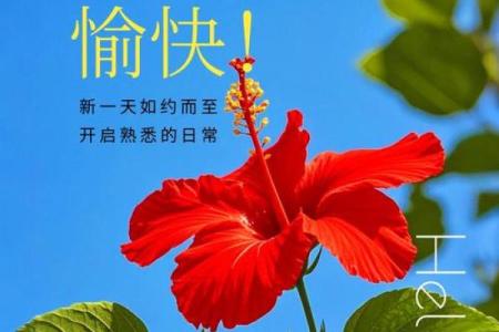 探寻女性命运的秘密：走向幸福与成功的关键