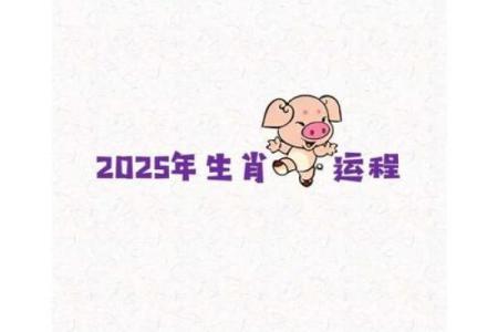 14岁属猪的命运揭秘：生命的转折与成长之路
